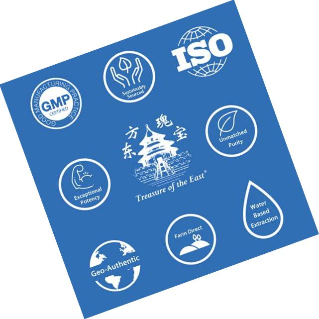 Treasure of the East, Clear The Lungs and Relieve Toxicity Formula, Qing Fei Pai Du Tang | 100g Concentrated Granules