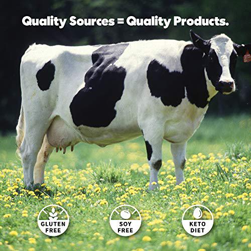 True Nutrition - Whey Protein Concentrate - 100% Whey Protein Powder - Fast Acting Low Carb Protein Powder with Essential Amino Acids - High in Leucine - Unflavored/Unsweetened - 1lb.