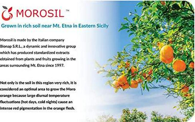 True-Slim 400mg Morosil Weight and Fat Loss Supplement Helps Reduce Fat Accumulation