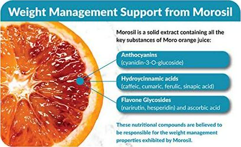 True-Slim 400mg Morosil Weight and Fat Loss Supplement Helps Reduce Fat Accumulation