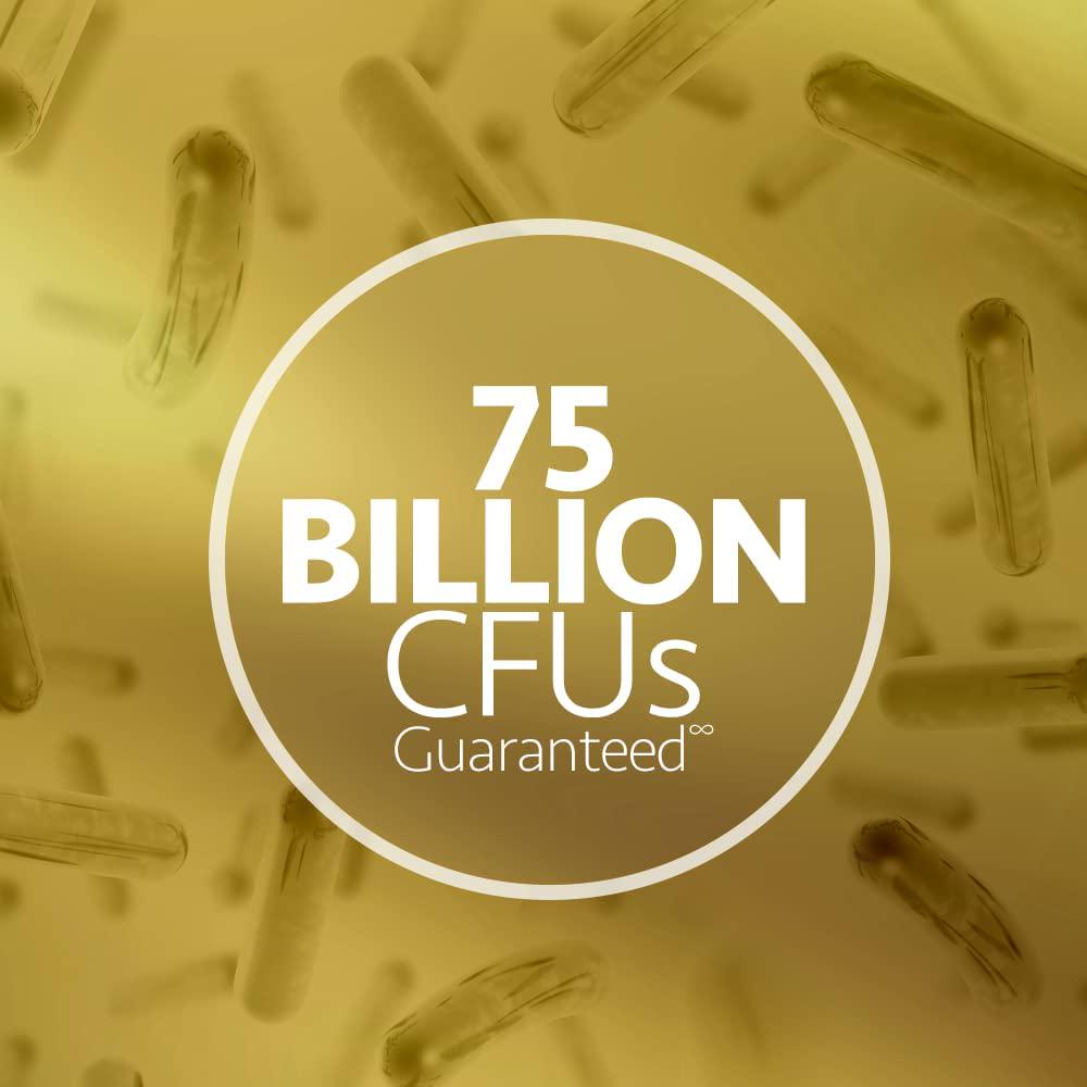 UP4 Ultra High Potency Probiotic Supplement | Powerful Digestive + Immune Support | 50 Billion CFUs Guaranteed | Non-GMO, Gluten Free, Vegan | 30 Vegetarian Capsules