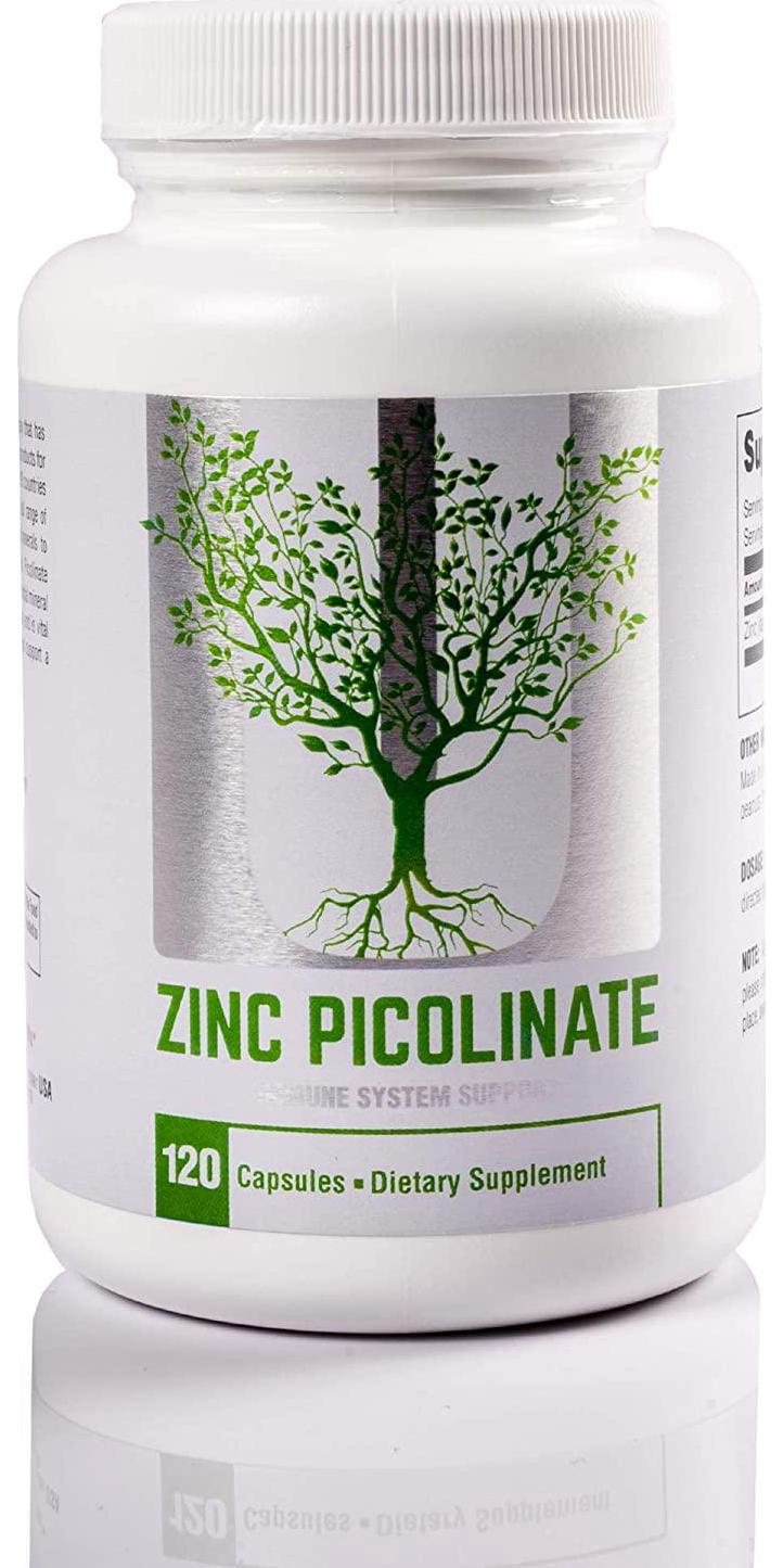 Universal Nutrition Zinc Picolinate - 25mg of Zinc Picolinate- 4 Month Supply - 1 Capsule Per Serving - 120 Capsules, 120 Count