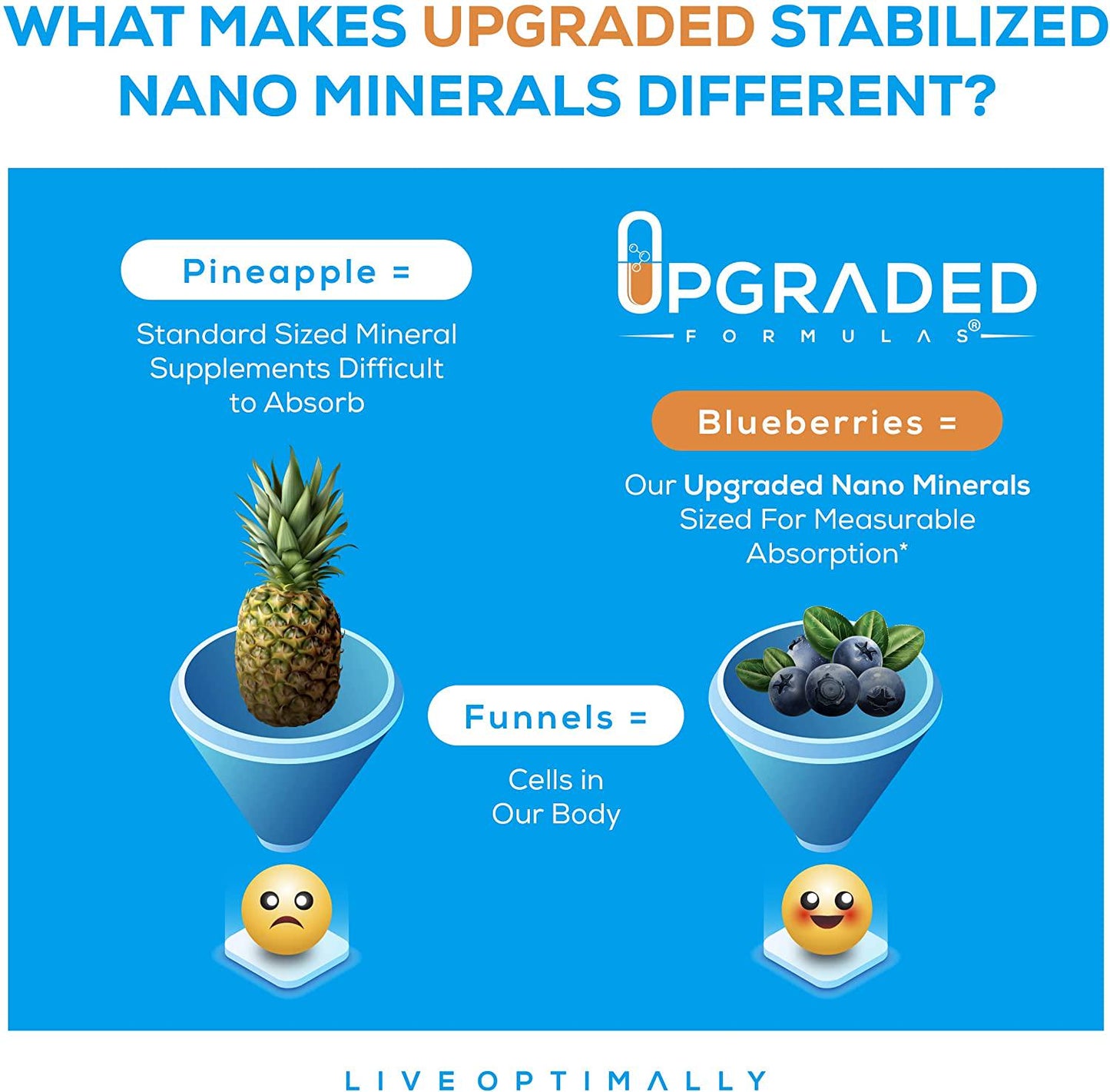 Upgraded Thyroid and Immune Support - Zinc, Selenium, Iodine and Copper | Keto + Vegan Liquid Nano Mineral Superior Absorption Supplement | Natural Detox, Brain Fog, Metabolism Support | 60 Servings