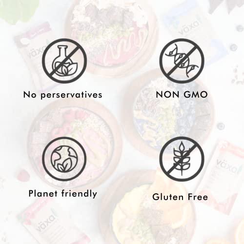 Växa Plant Based Nutrition Bar - Variety box, 12 Bars - Organic, Gluten Free, Nut Free, Vegan and Clean