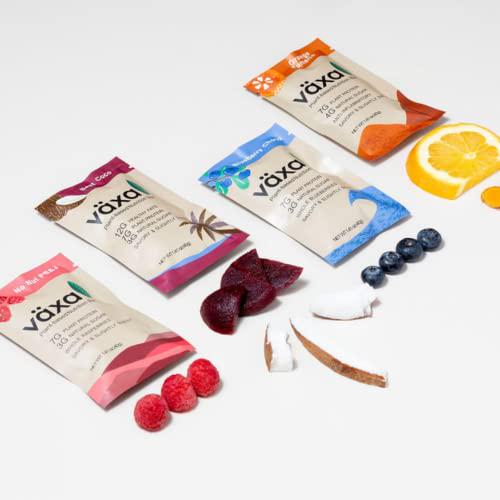 Växa Plant Based Nutrition Bar - Variety box, 12 Bars - Organic, Gluten Free, Nut Free, Vegan and Clean