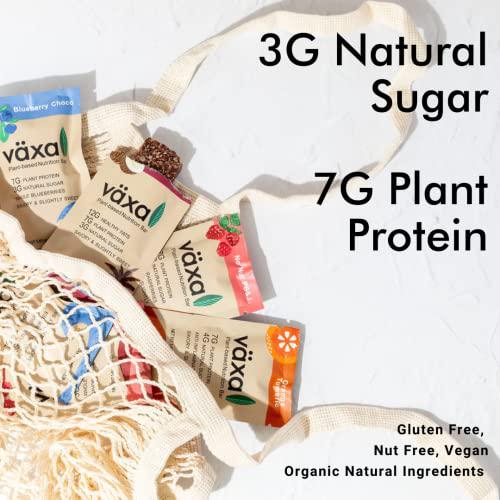 Växa Plant Based Nutrition Bar - Variety box, 12 Bars - Organic, Gluten Free, Nut Free, Vegan and Clean