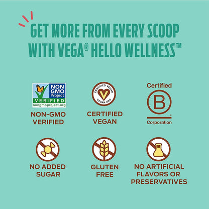 Vega Hello Wellness You ve Got Guts Blender Free Smoothie, Choco Cinnamon Banana (14 Servings, 14.3oz) - Plant Based Vegan Protein Powder, 5g Prebiotic Fiber, 0g Added Sugar