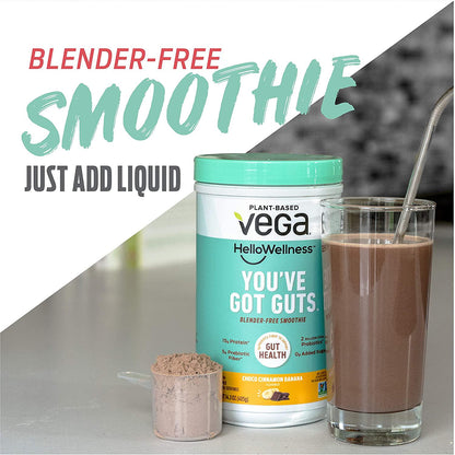 Vega Hello Wellness You ve Got Guts Blender Free Smoothie, Choco Cinnamon Banana (14 Servings, 14.3oz) - Plant Based Vegan Protein Powder, 5g Prebiotic Fiber, 0g Added Sugar