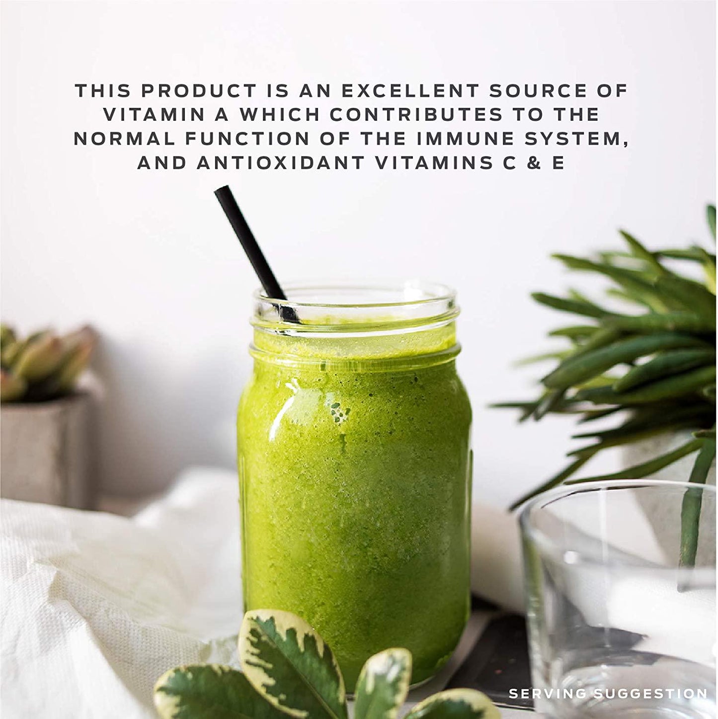 Vega One All-In-One Nutritional Shake Chocolate (19 Servings) - Plant Based Vegan Protein Powder, Non Dairy, Gluten Free, Non GMO, 30.9 Ounce (Pack of 1)