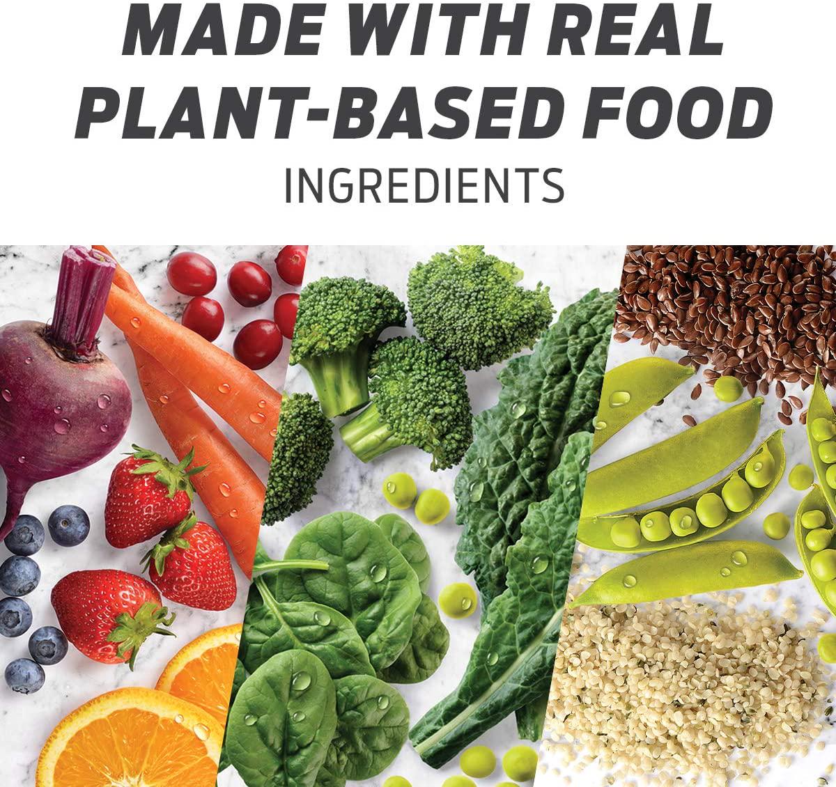 Vega One All-In-One Nutritional Shake Chocolate (19 Servings) - Plant Based Vegan Protein Powder, Non Dairy, Gluten Free, Non GMO, 30.9 Ounce (Pack of 1)