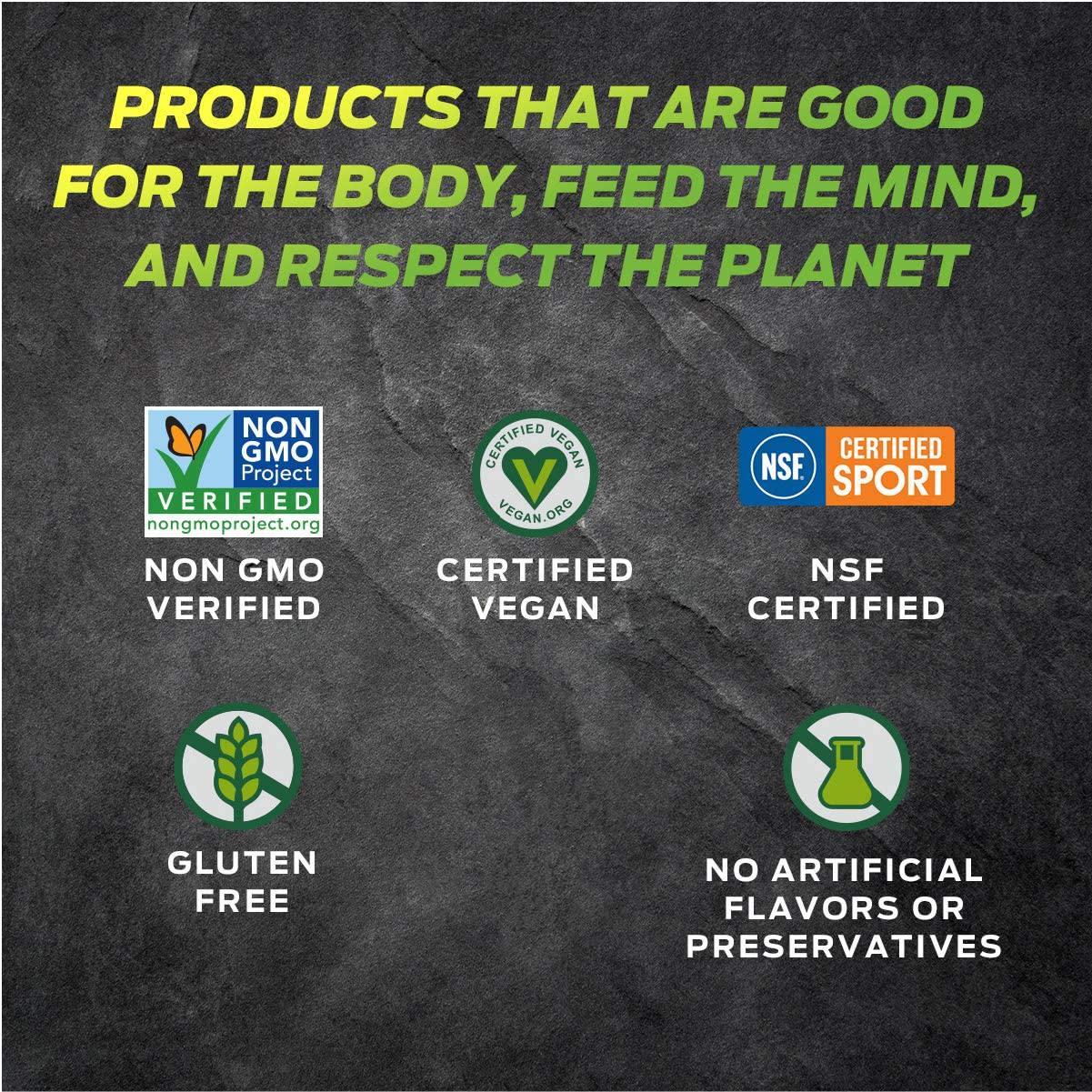 Vega Sport Post-Workout Recovery Accelerator, Apple Berry, 19oz, 20 Servings