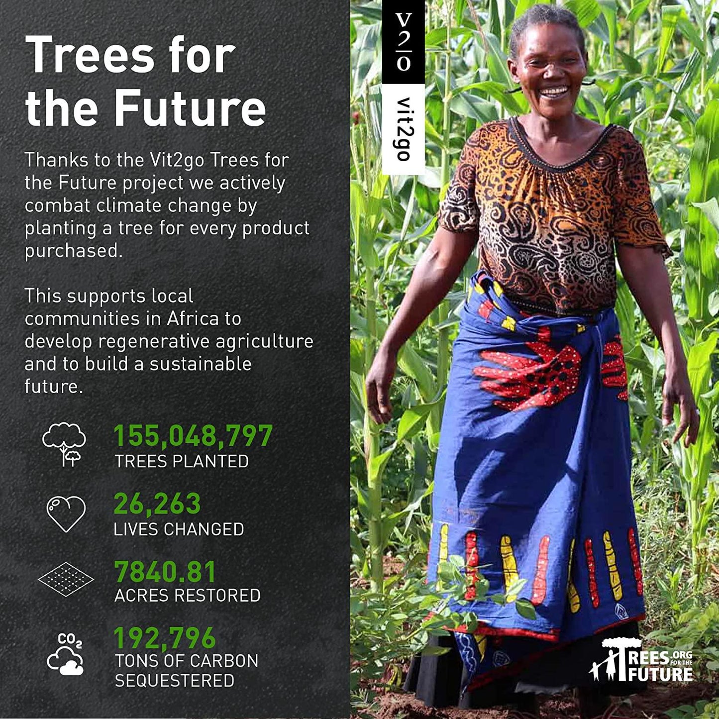 Vit2go Immunity (30 sachets) - Booster with Vitamins (A, B, C, D and K), Zinc and Ginger Extract, Vegan, Supplements Made in Germany