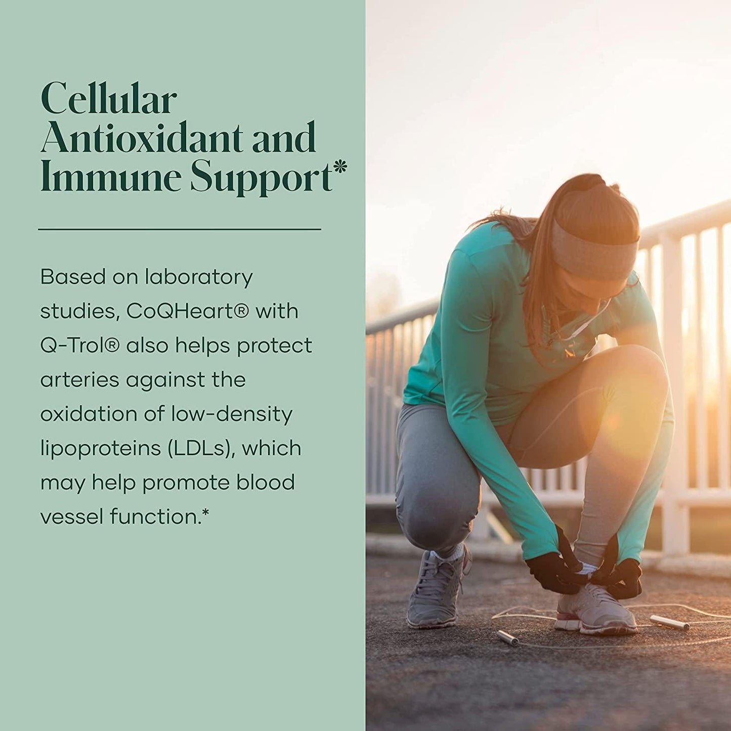 Vita-C Sustained Release 180 Count 500mg