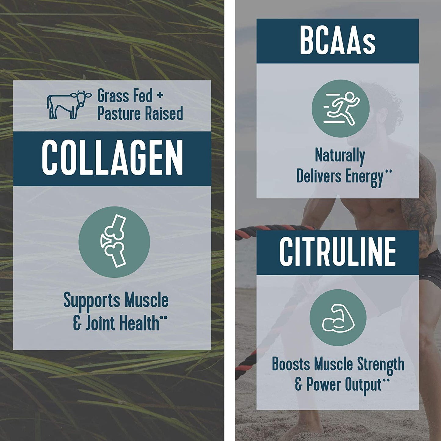 Vital Performance Pre-Workout Powder, NSF for Sport Certified, 5g Vital Proteins Collagen, Low Sugar, 140mg Caffeine, 1.5g Creatine Nitrate, 1.5g Arginine Nitrate, Watermelon Blueberry