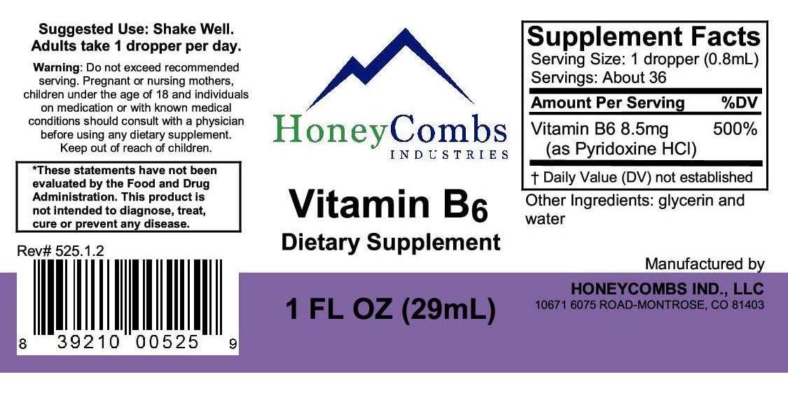 Vitamin B6 (Pyridoxine) Drops Liquid Vitamin B Drops for Natural Brain Function Support, Blood Vessels and Immune Support Liquid Vitamin Mood Supplement Alcohol-Free Health Supplement (1 Fl Oz)