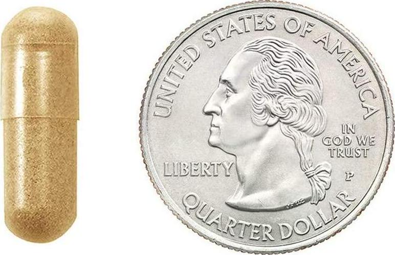 Vitapia Organic Turmeric Curcumin Supplement 1000mg - 120 Veggie Capsules - Vegan and Non-GMO - Curcumin Pills for Anti-Inflammatory Effects, Joint Support, Brain Health Support