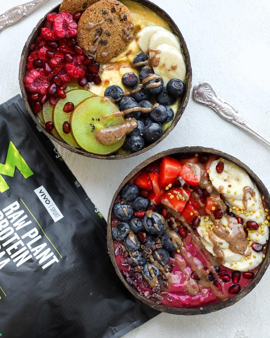 Vivo Perform Raw Plant Acai/Blueberry Protein and BCAA Powder