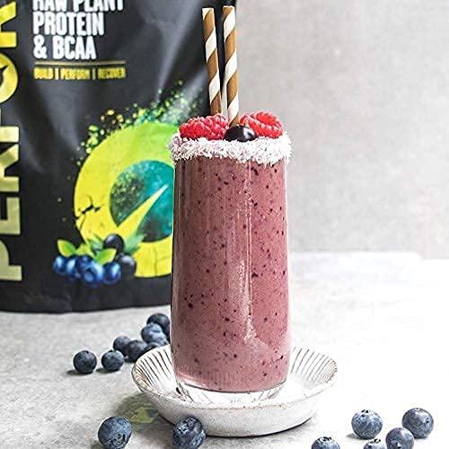 Vivo Perform Raw Plant Acai/Blueberry Protein and BCAA Powder