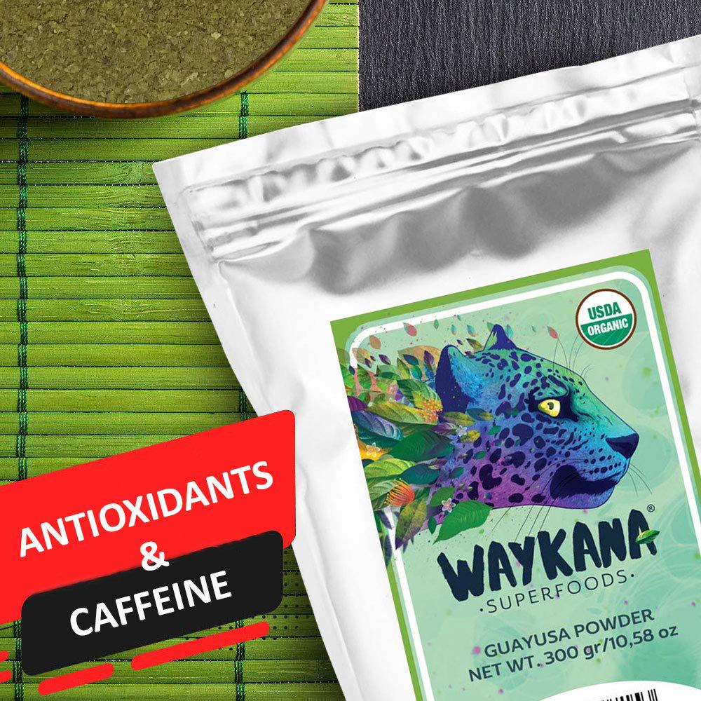 WAYKANA Guayusa Organic Leaf Energy Tea Powder | Antioxidant Natural Energy Powder and Nutritional Guayusa Tea | Super Food Mental Focus and Energy Guayusa Powder Drinks, 300g (150 Servings)