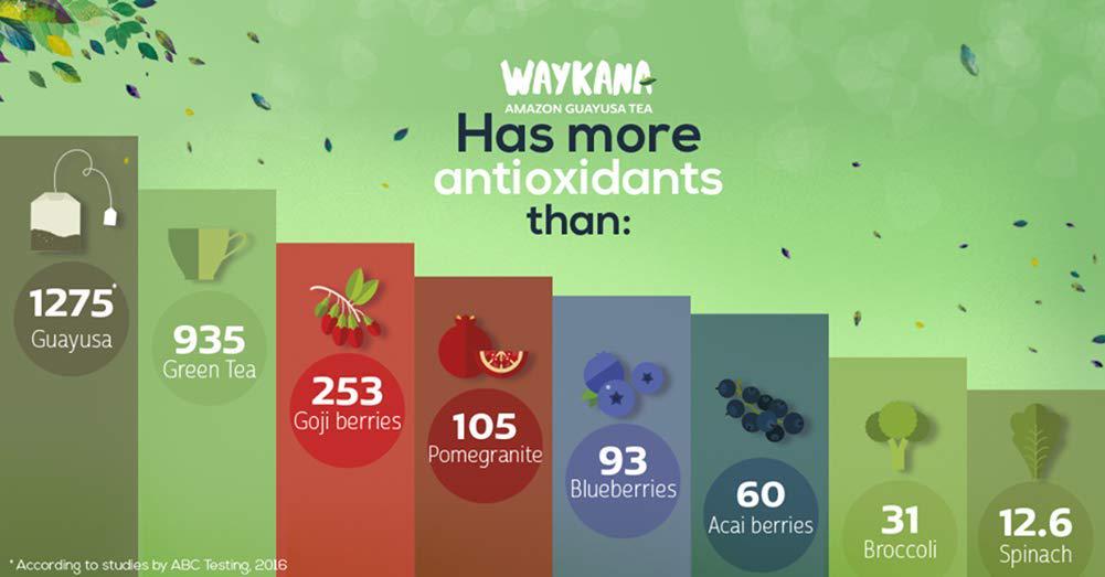 WAYKANA Guayusa Organic Leaf Energy Tea Powder | Antioxidant Natural Energy Powder and Nutritional Guayusa Tea | Super Food Mental Focus and Energy Guayusa Powder Drinks, 300g (150 Servings)