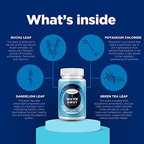 Water Away Pills and Diuretic Pills - Water Retention Pills and Water Pills with Dandelion Leaf Herbal Green Tea Extract Juniper Berry and Vitamin B6 - Kidney Cleanse Water Pills for Men and Women