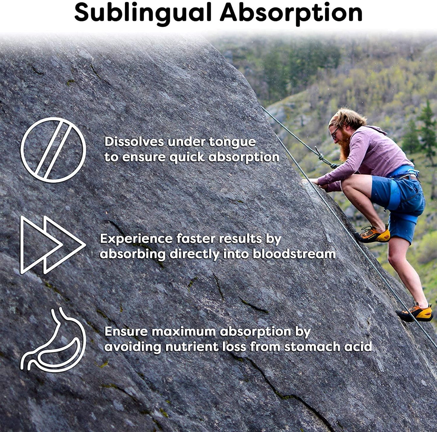 Wellgenix Bio-Available Sublingual B12 B6 W/Folic Acid Vitamin Formulated for High Absorption - Nutritional Multivitamin Supplement Methylcobalamin, Vitamin C, Biotin- Fast Dissolve (60 ct) (1)