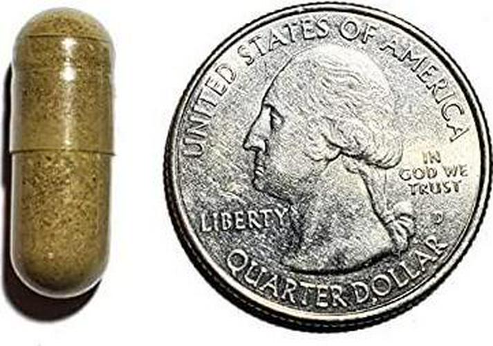 Western Botanicals Kidney/Bladder Formula, 120 Veg Capsules