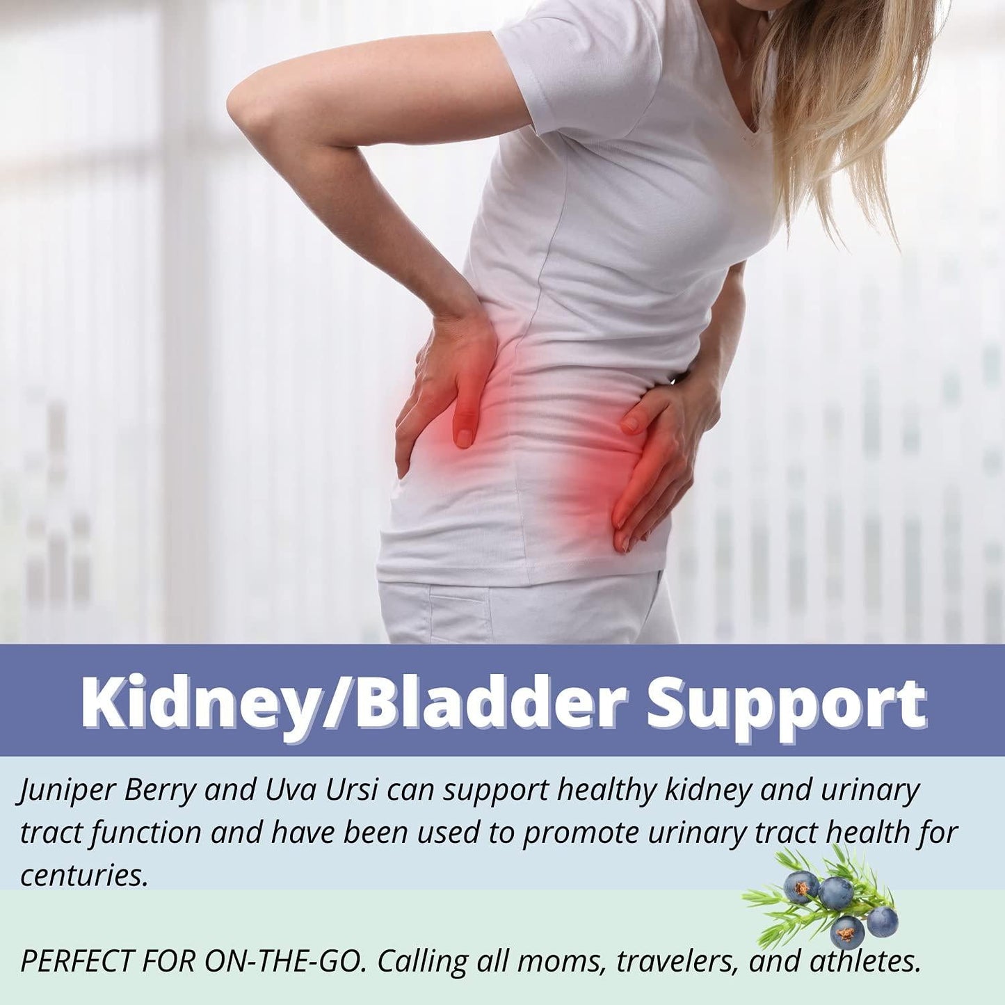 Western Botanicals Kidney/Bladder Formula, 120 Veg Capsules