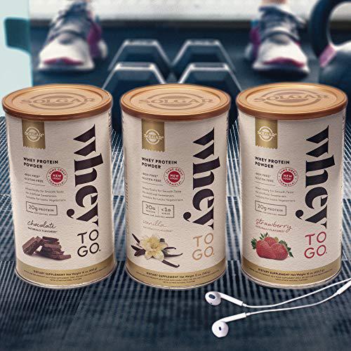 Whey To Go Protein Powder Natural Chocolate Cocoa Bean Flavor By Solgar - 41 oz