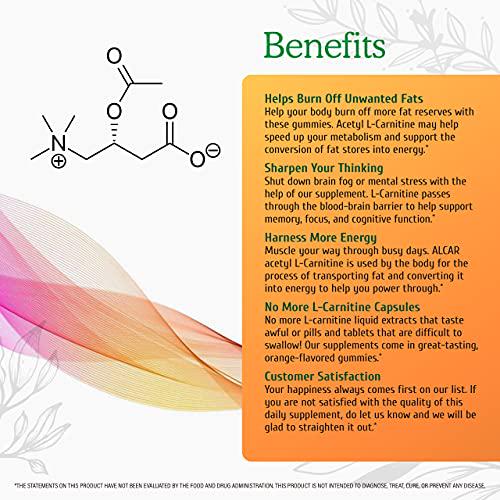 Wild and Organic Acetyl L-Carnitine Gummies - Natural Dietary Supplement - 1500mg ALCAR to Support Weight Management, Boost Energy and Metabolism, Cognitive and Immune System Function - 60 Chews per Bottle