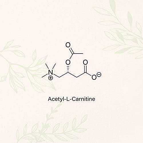 Wild and Organic Acetyl L-Carnitine Gummies - Natural Dietary Supplement - 1500mg ALCAR to Support Weight Management, Boost Energy and Metabolism, Cognitive and Immune System Function - 60 Chews per Bottle