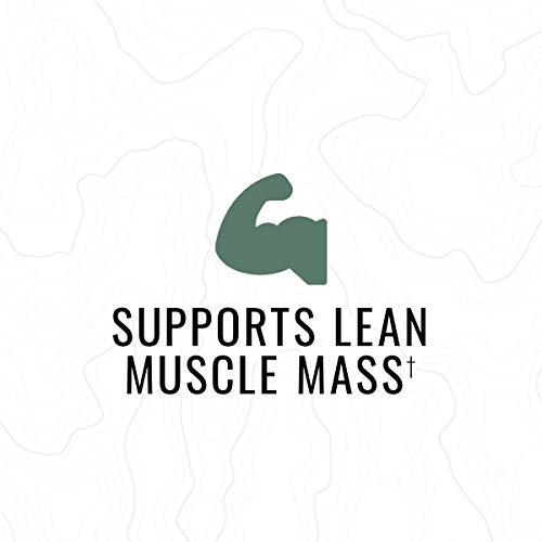 Wilderness Athlete: Daily Strength, Premium Quality Protein, Chocolate Moose , 30 Serving Tub, Strengthen and Build Lean Muscle with 20g of Protein, 5g of BCAAs, Low Calorie, Low Carb