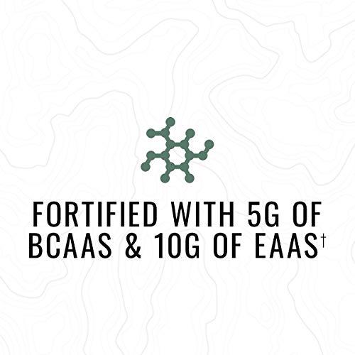 Wilderness Athlete: Daily Strength, Premium Quality Protein, Chocolate Moose , 30 Serving Tub, Strengthen and Build Lean Muscle with 20g of Protein, 5g of BCAAs, Low Calorie, Low Carb