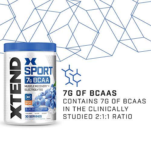 XTEND Sport BCAA Powder Blue Raspberry Ice - Electrolyte Powder for Recovery and Hydration with Amino Acids - 30 Servings