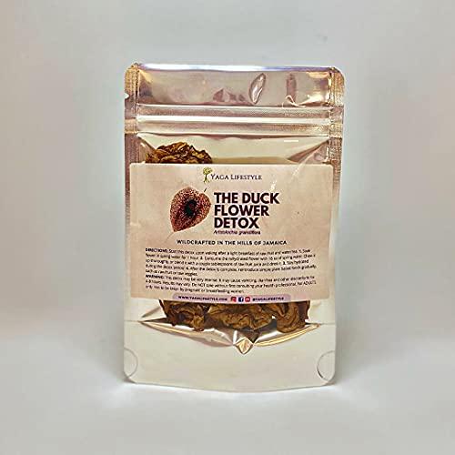 Yaga Lifestyle Duck Flower Detox - Flor de Pato, Palo Guaco