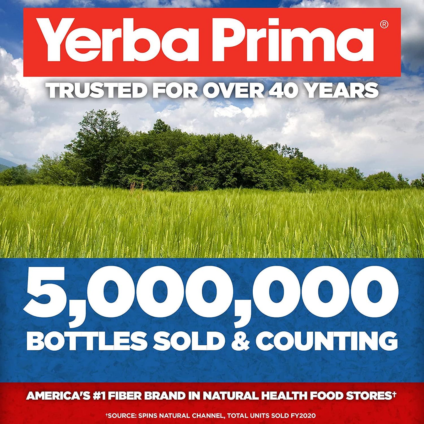 Yerba Prima Daily Fiber Caps Formula, 400 Capsules - Both Soluble and Insoluble - with Psyllium Seed Husks, Acacia Gum, Apple Fiber and More - Dietary Supplement