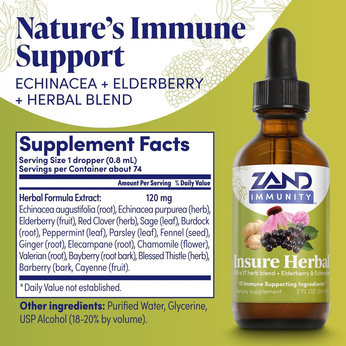 Zand Insure Immune Support | Herbal Liquid Echinacea Supplement | with Elderberry, Chamomile, Ginger and Valerian (2oz)