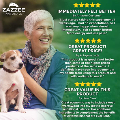 Zazzee Artemisinin, 100 mg per Capsule, 120 Veggie Capsules, 4 Month Supply, Plus 5 mg BioPerine for Enhanced Absorption, Sweet Wormwood Extract, Vegan and Non-GMO