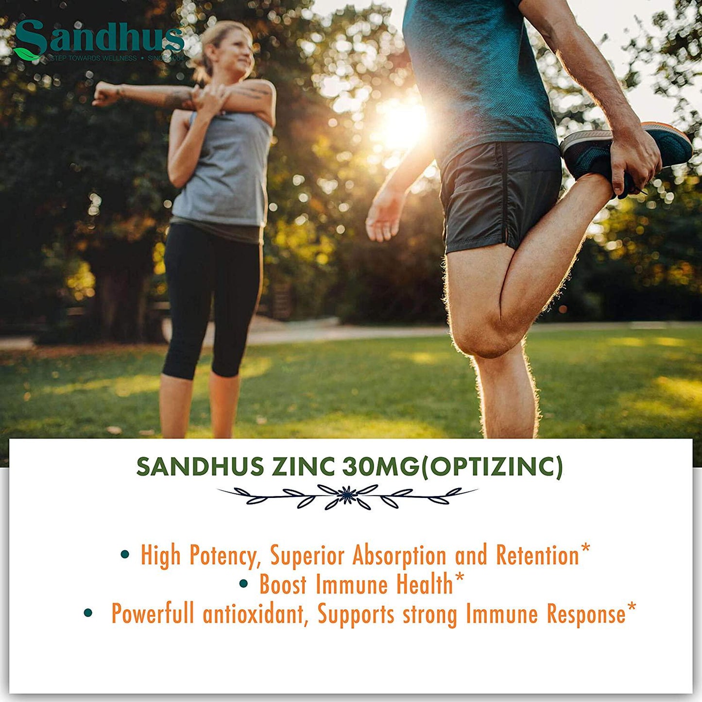 Zinc 30 mg -Zinc Methionine Highly Absorbable BioAvailable Antioxidant Immune Support Daily Vitamin Supplement for Men and Women 4 Months Supply 120 Vegetarian Capsules