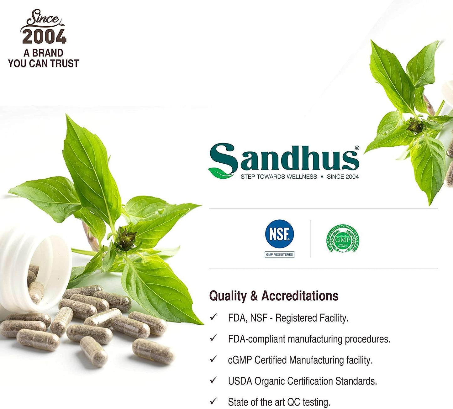 Zinc 30 mg -Zinc Methionine Highly Absorbable BioAvailable Antioxidant Immune Support Daily Vitamin Supplement for Men and Women 4 Months Supply 120 Vegetarian Capsules