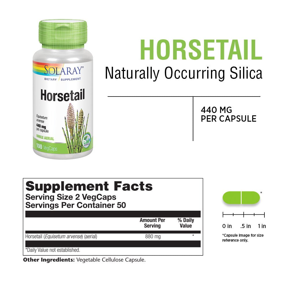 Solaray Horsetail 880 Mg | Silica Supplement for Healthy Hair, Skin, Nails & Joint Support | 50 Servings | 100 Vegcaps