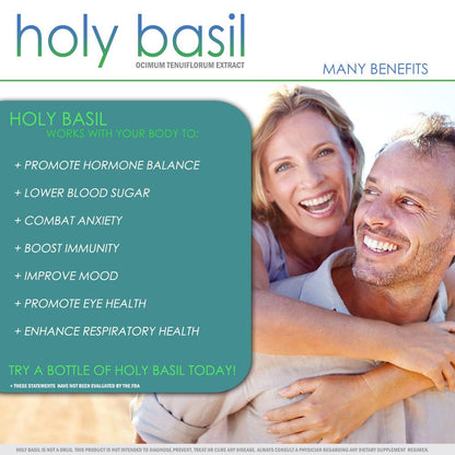 VH Nutrition Organic Holy Basil 700Mg Supplement - Immune Support, Improve Heart Health, Reduce Stress - 60 Capsules