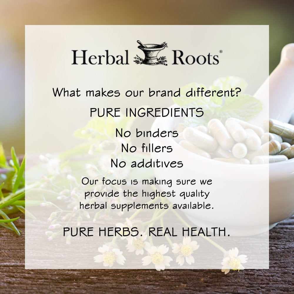 Cranberry Pills with Organic Nettle by Herbal Roots | Urinary Tract Health | One Size, Natural