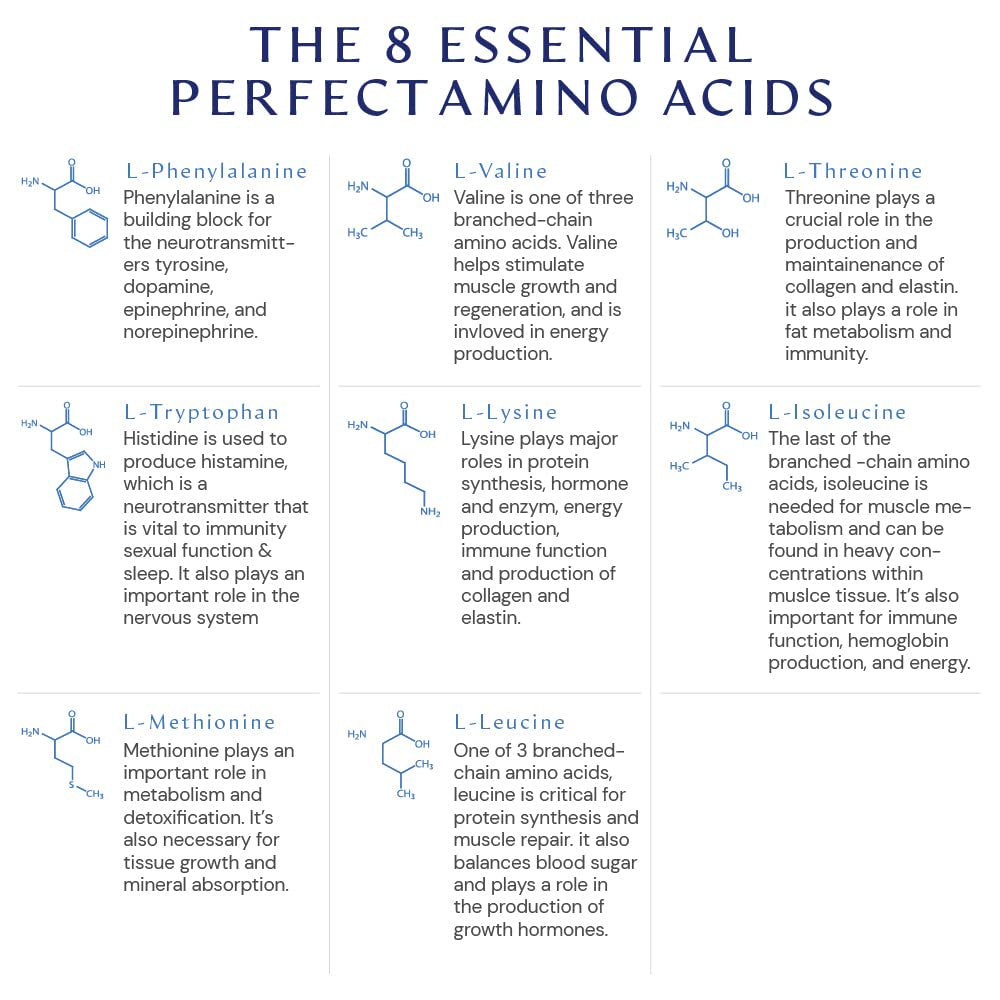 Bodyhealth Perfectamino XP Mixed Berry (60 Servings)