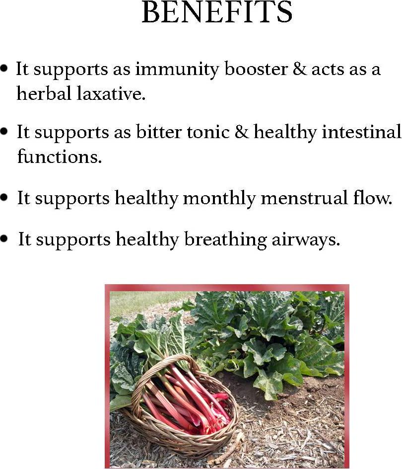 bixa BOTANICAL Indian Rhubarb (Rheum Emodi), Supports As Immune Booster and Laxative - 7 Oz (200G)