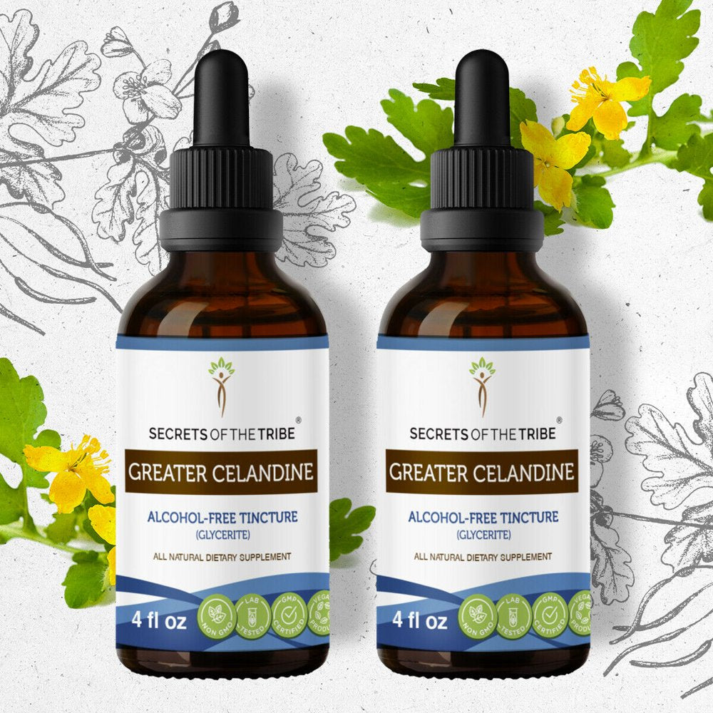Greater Celandine Tincture Alcohol-Free Extract, Organic Celandine Bai Qu Cai, Chelidonium Majus Liver and Kidney Health 2X4 Oz