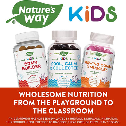 Nature'S Way Kids Brain Builder Gummies Lemonade Flavour 60 Gummies