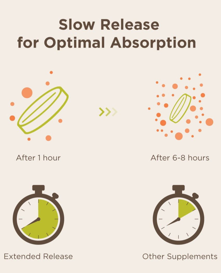 Endurance Products Endurance Endur-Acin, 100 Ea