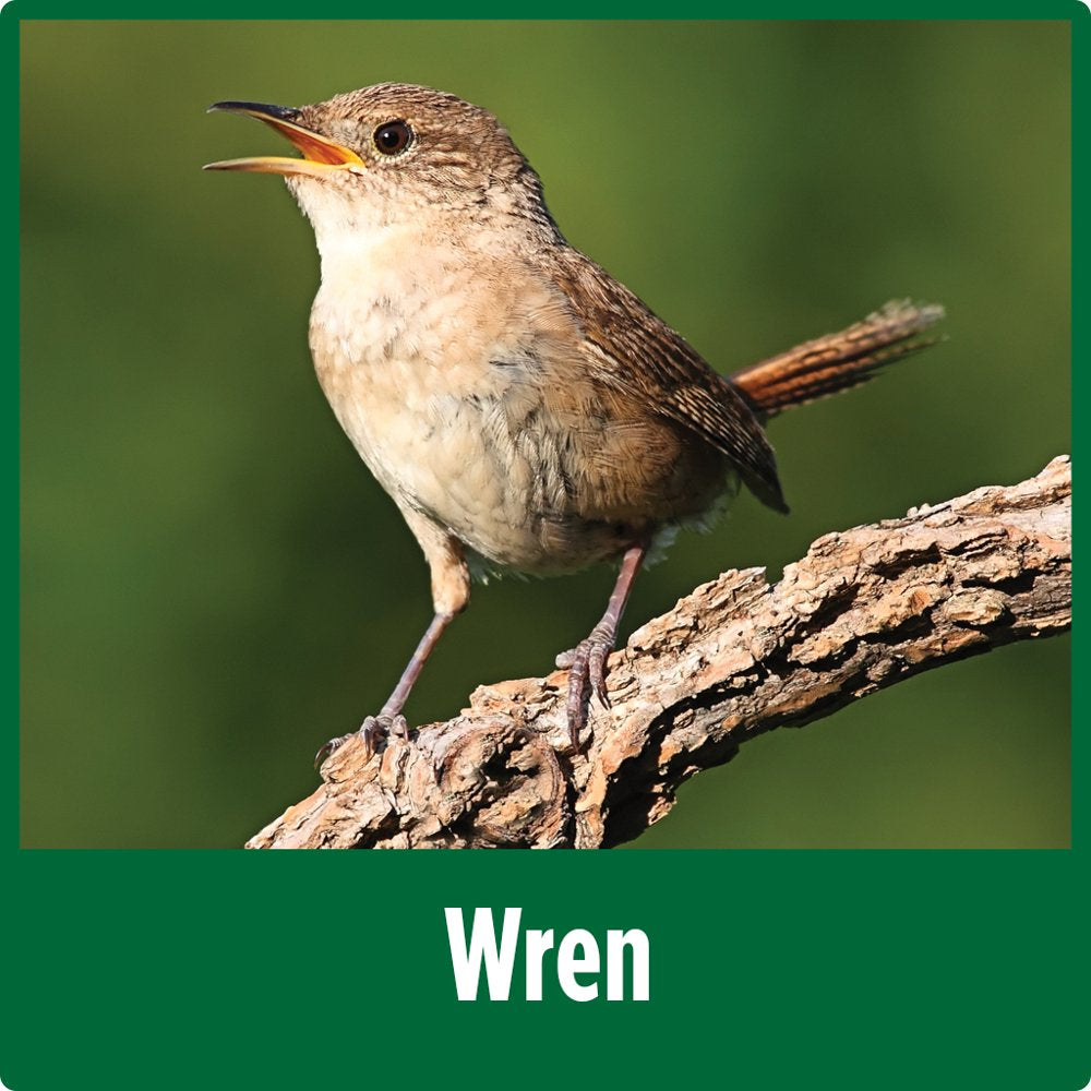 Farmhouse Wren House