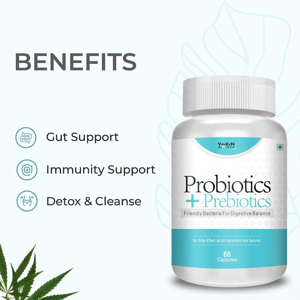 Bio Tech Prebiotics Supplement for Women & Men – 60 Capsules